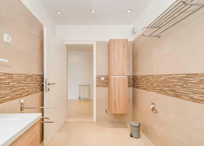 Boris Τρογκίρ